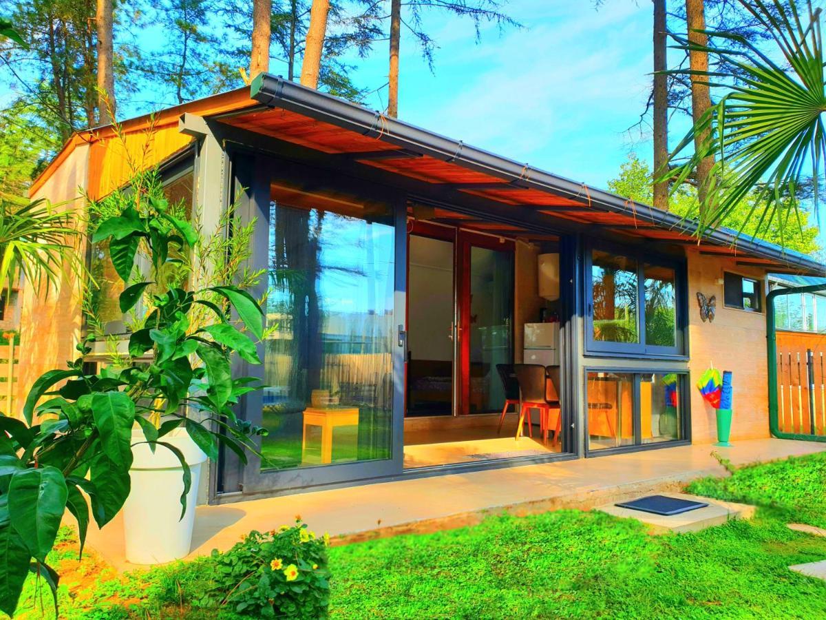 House & Yard Sesil Xs 60M To Beach Ureki Exterior photo